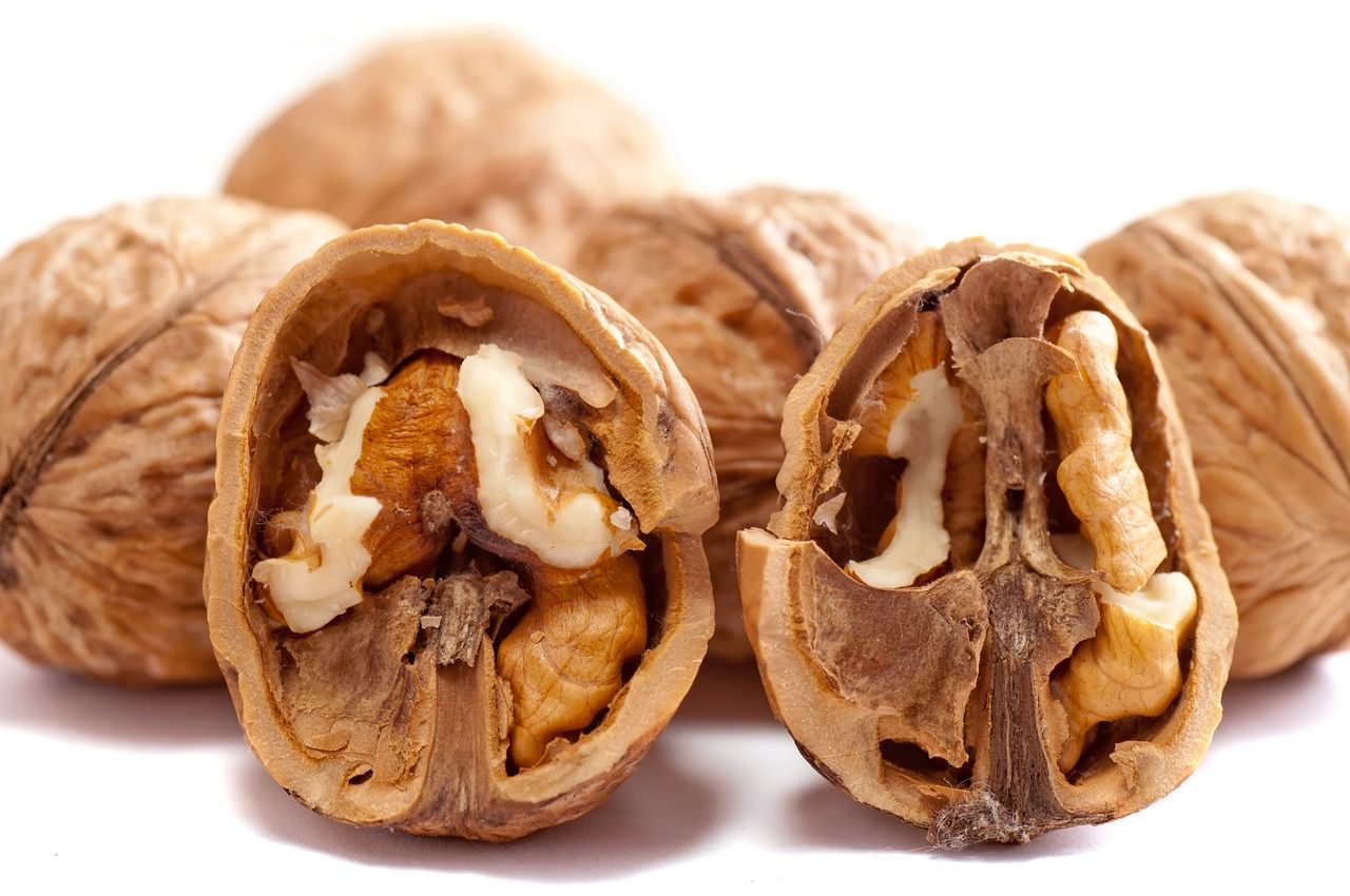 noci da agricoltura biologica organic walnuts-2312506_1280