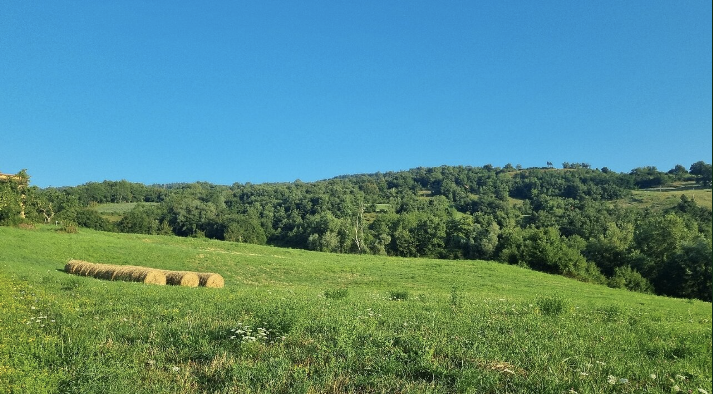 Cà d’Pignat