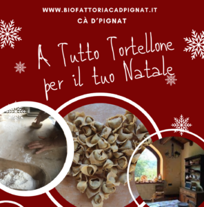 Bambini in fattoria a NAtale