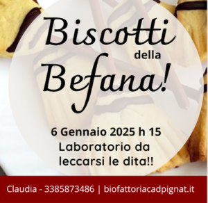 befana 2025 in fattoria