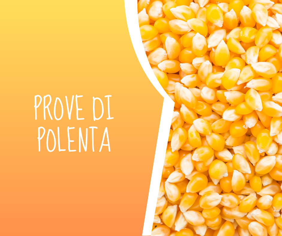 Prove di Polenta
